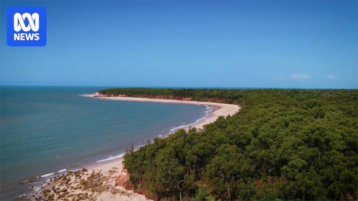 NT Aboriginal land councils accuse federal government of failing to consult on environmental legislation reform