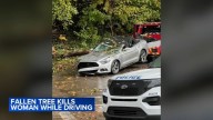 Woman killed after tree falls on moving car in the East Falls section of Philadelphia