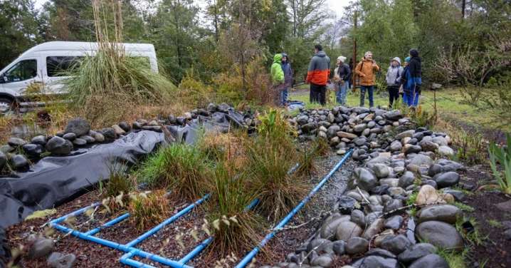 Instalan filtros con lombrices y humedales artificiales en casas del lago Villarrica para descontaminarlo