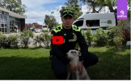 Perros callejeros de Bogotá encuentran refugio en estación de policía de Kennedy