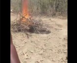 Man K!lls Wife for Having S3x With Another Man in the Bush in Mzimba, Mob Kills Him Too