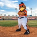 Las Águilas regresan a su nido el Luis Aparicio “El Grande”