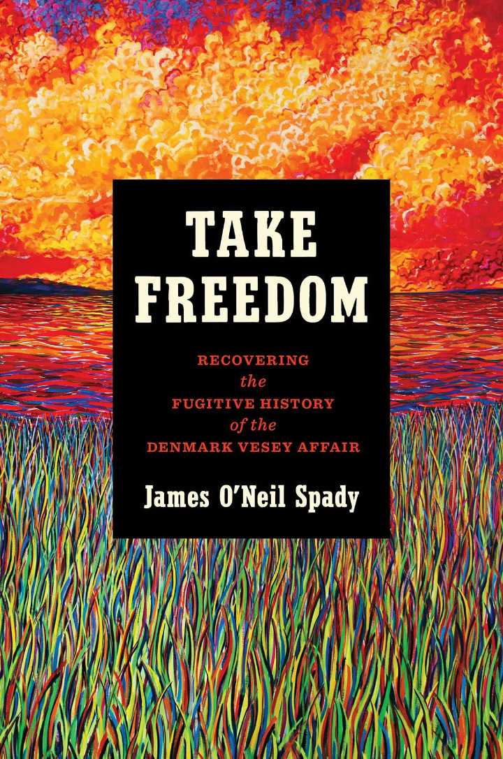 New book sheds different light on Vesey revolt