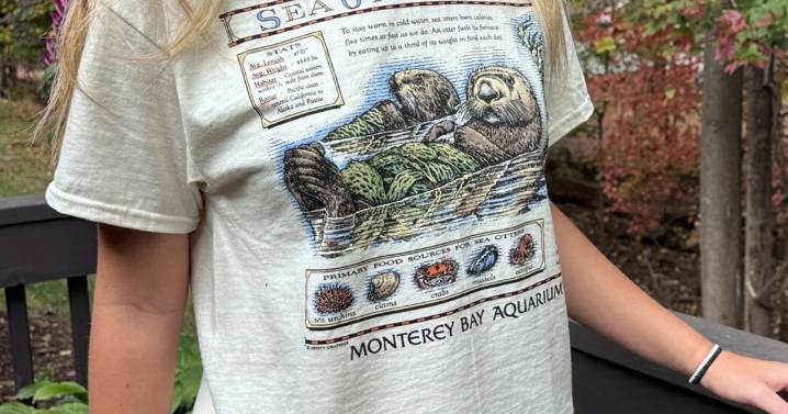Taylor Swift's vintage T-shirt sparks a $2M windfall for sea otters