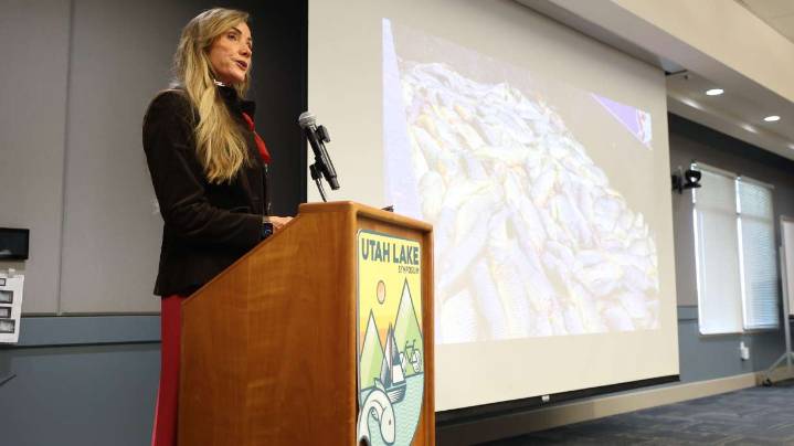 Provo mayor announces goal to remove carp, invasive plants from Utah Lake by 2034