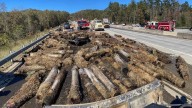 NC: 150 wattles ignite causing brief shutdown on I
