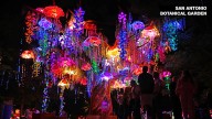 Illuminate returns to San Antonio Botanical Garden in November