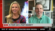 The Edge: Research shows that birds prefer to poop on certain types and colors of cars
