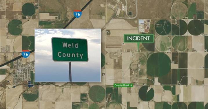 Six dairy workers died of exposure to toxic gas, Weld County coroner determines