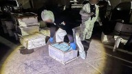 Operación Frontera Norte cumple 250 días; se ha incautado media tonelada de fentanilo