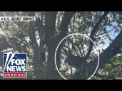 BREAKING: Hunting stand found with line of sight to Air Force One