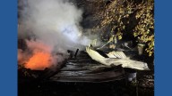 Tragic fire claims lives of dogs and puppies near South Haven