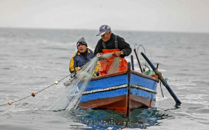 Pescadores artesanales levantaron medidas de fuerza, según Produce