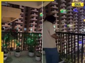 Noida bachelors light up balcony for Diwali after viral ‘lazy’ decor post