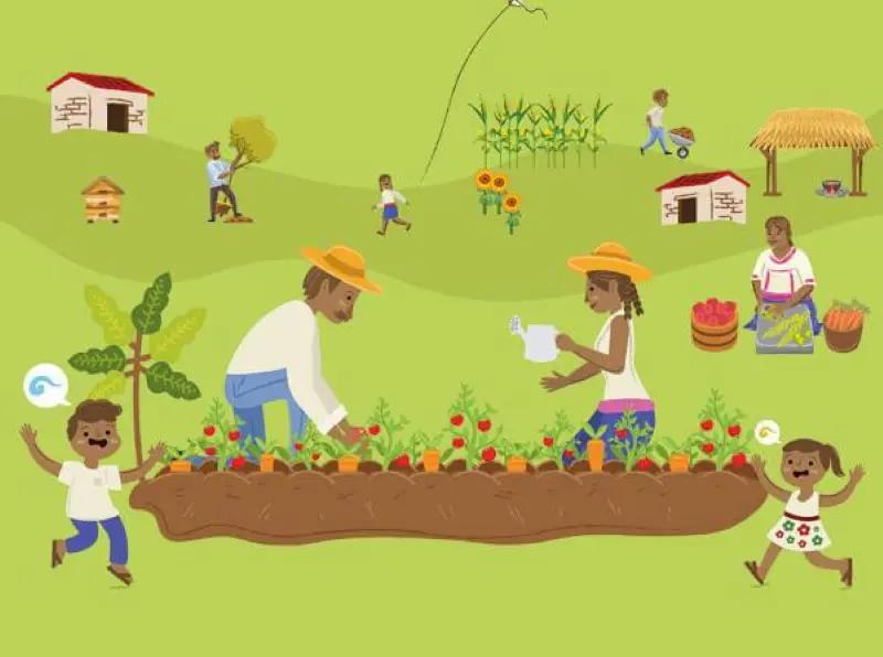 Aprender a cooperar: la pedagogía de la economía solidaria