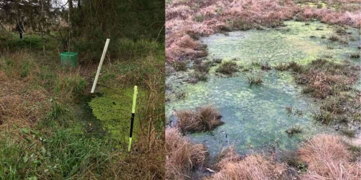 Wastewater treatment company sued over ‘failing’ Midstate sewage system