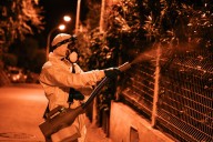 New York confirms 1st locally acquired case of chikungunya virus in 6 years in US