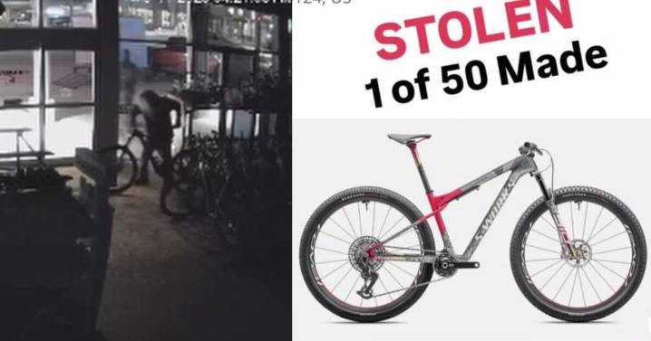 Millcreek bike shop asks for public’s help after $58K worth of products stolen