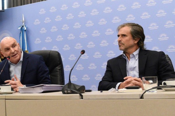 Tras la salida de Espert, Benegas Lynch asumirá la Comisión de Presupuesto: Cuándo arranca el debate