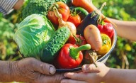 Día Mundial de la Alimentación: un llamado urgente para transformar los sistemas alimentarios para un futuro sostenible