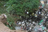 Malos olores y plagas por animales muertos perjudican a más de 40 vecinos en Araguaney II
