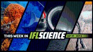 These Might Be The First Animals To Evolve On Planet Earth, Skin Cells Have Been Used To Create Fertilizable Eggs, And Much More This Week