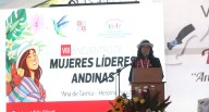 Tello: “Lucharemos por la independencia y la paz del país”