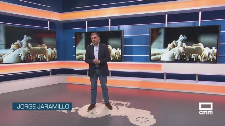 El campo - 31/10/2025