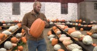 New Berlin farmer fights to stay out of the red after the August floods
