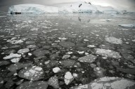 El hielo en la Antártida alcanza su tercer pico invernal más bajo en medio siglo