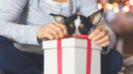 Practical gifts for dog lovers who are over the mess