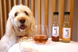 Purrno Noir? New Zealand company sells non-alcoholic wine for pets