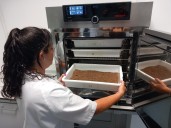 Un 84% de los suelos  de Teruel tienen una alta concentración de potasio  y un 65% de fósforo