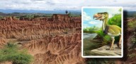 🌎 “Impresionante hallazgo en Huila: descubren fósil de ave depredadora de tres metros en el desierto de La Tatacoa”