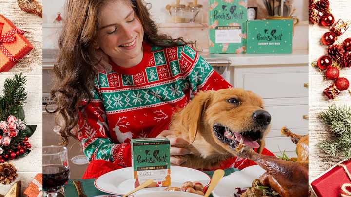 How to get your dog involved in Christmas festivities