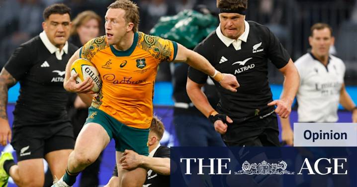 Yes, we lost again - but for a glorious 20 minutes the Wallabies looked unstoppable