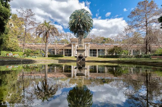 El Real Jardín Botánico de Madrid. Dos siglos de ciencia, historia y paseos entre flores