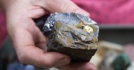 Joplin native bequeaths mineral collection to local mineral museum