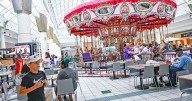 Finding sweetness in disruption and other surprising places, like the Mall of Louisiana