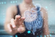 Cómo reparar la microbiota intestinal cuando se altera