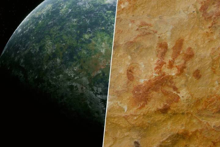 La química ha resuelto un gran misterio de nuestra humanidad: cuáles fueron los primeros animales en habitar la Tierra