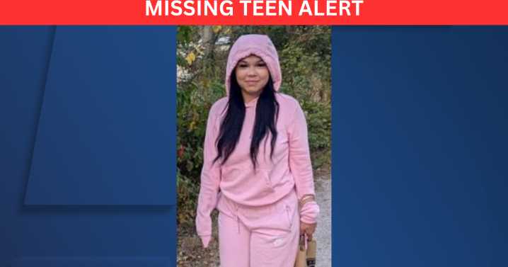 North Olmsted Police searching for missing 13