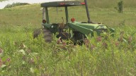 Maine opens $3.5M PFAS agriculture research grant program