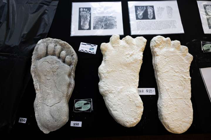 Oregon is the No. 3 place in North America for spotting Bigfoot, according to a new ranking.