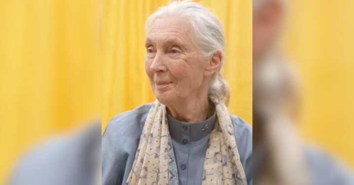 World-renowned primatologist, animal rights activist Jane Goodall dies at 91