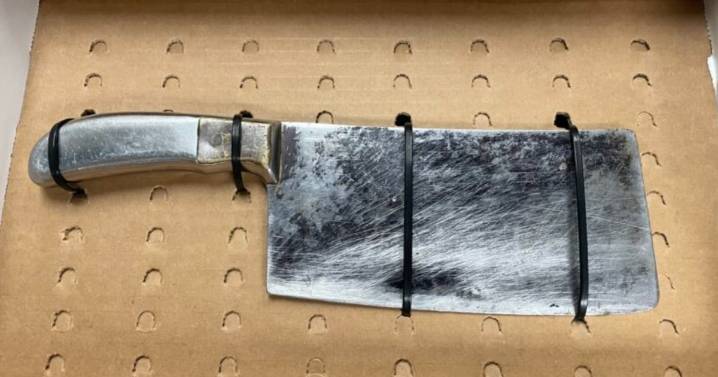 Man brandished cleaver during B.C. brawl, police say