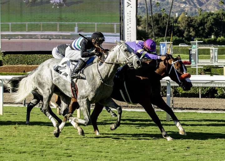 Man O Rose noses out Lovesick Blues at Santa Anita