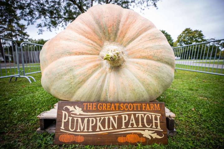 What’s happening in the Mid-Hudson Valley: Oct. 1, 2025