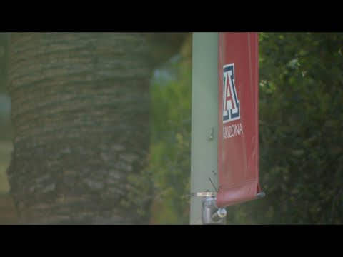 Response from U of A President Garimella regarding the compact sent from the White House