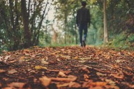 Ulster County event guide for 10/16